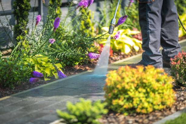 Pre-Holiday Cleaning in Fair Oaks, CA