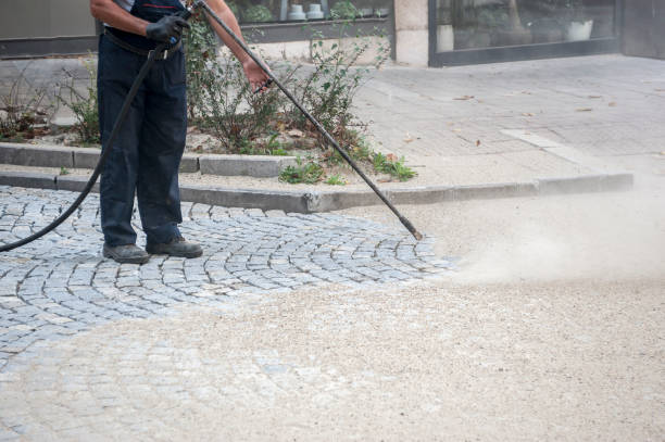 Animal Enclosure Cleaning in Fair Oaks, CA